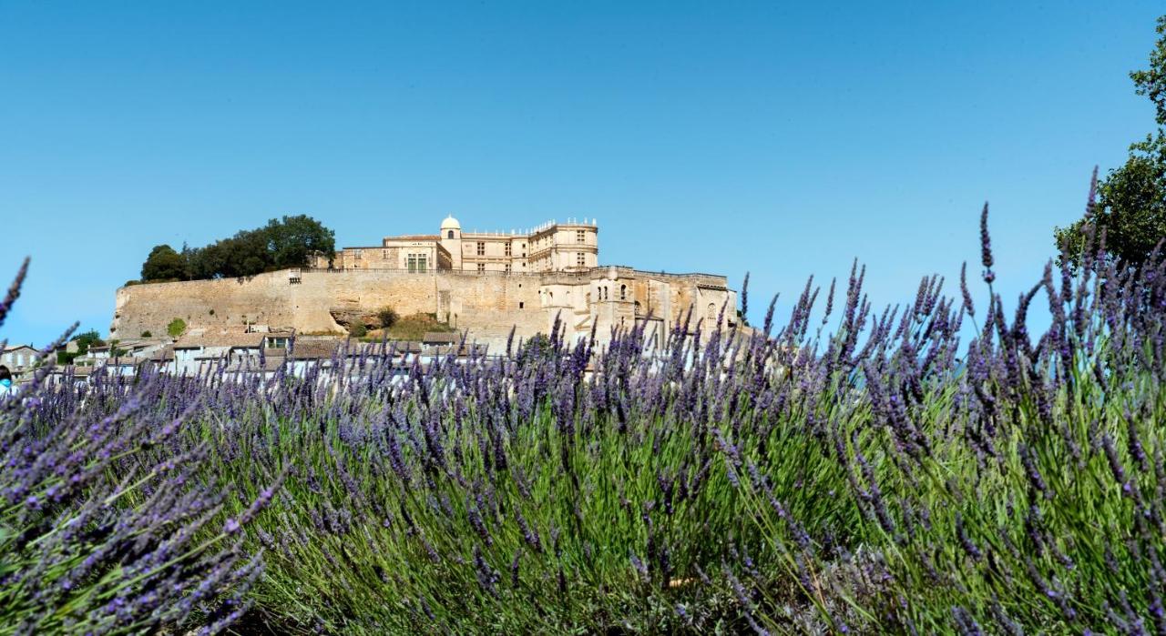 La Ferme Chapouton - Teritoria Hotel Grignan Exterior photo